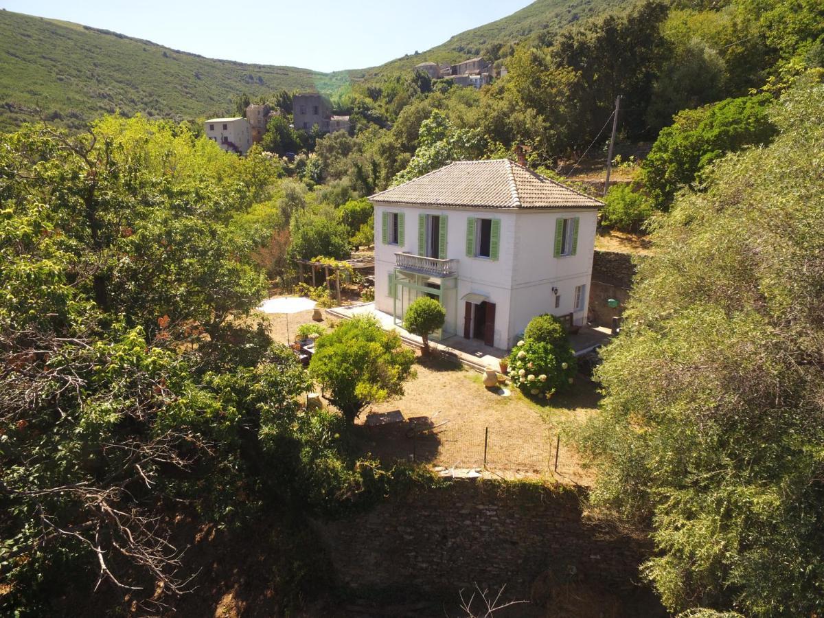 Aroma Green Villa Cagnano المظهر الخارجي الصورة