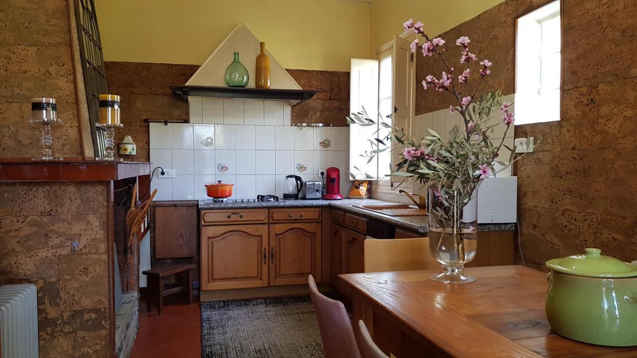 Aroma Green Villa Cagnano المظهر الخارجي الصورة