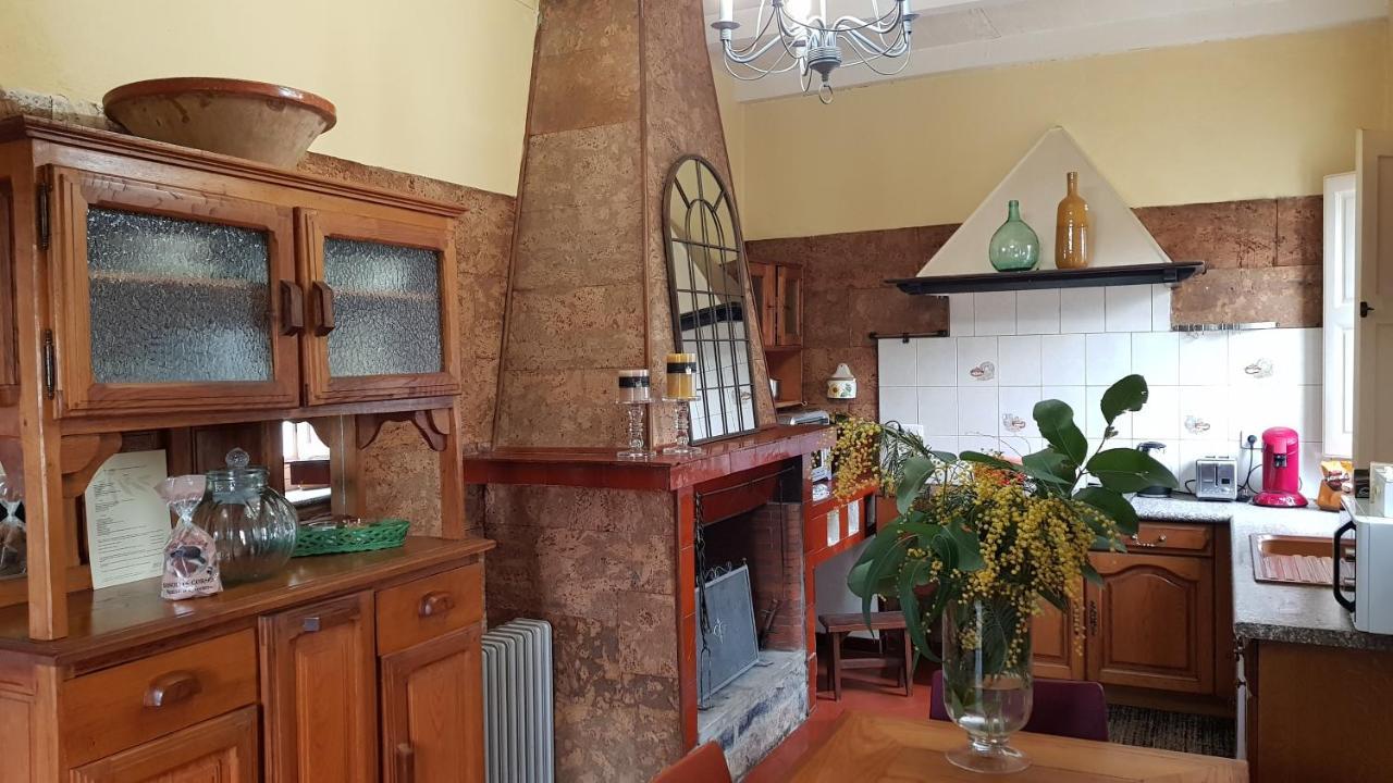 Aroma Green Villa Cagnano المظهر الخارجي الصورة